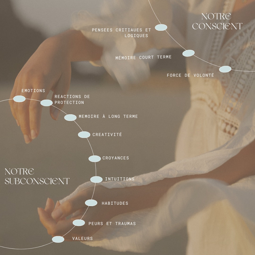 Programme Éveil & Conscience