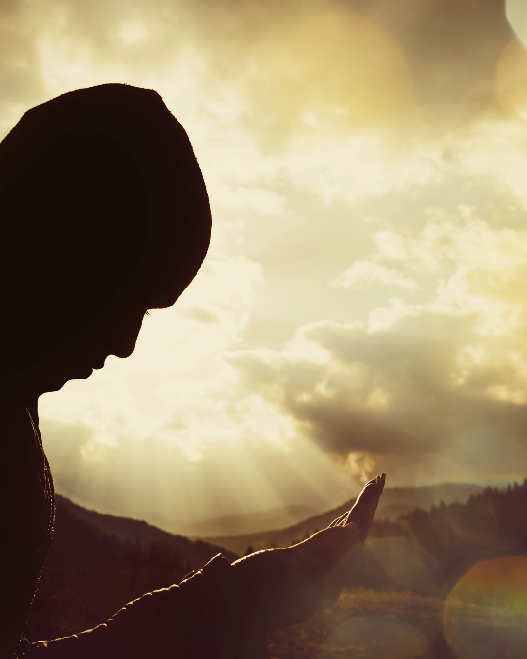 Soin Force Vitale - Réalignement énergétique