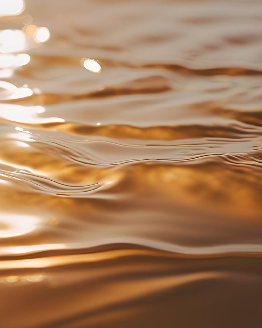 Programme Renaissance - 90 jours