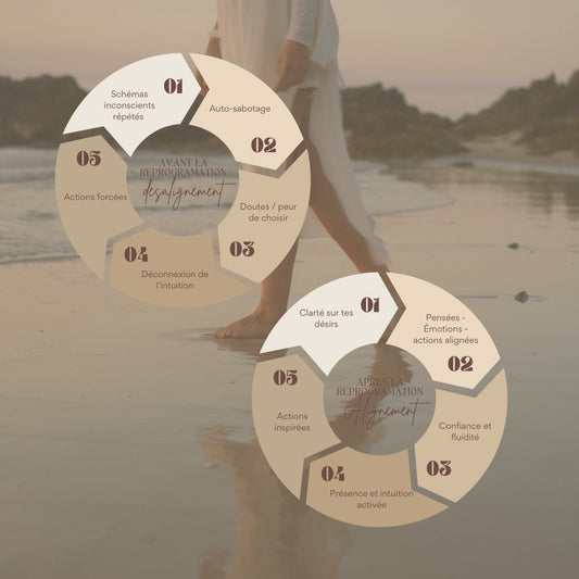 Programme Éveil & Conscience