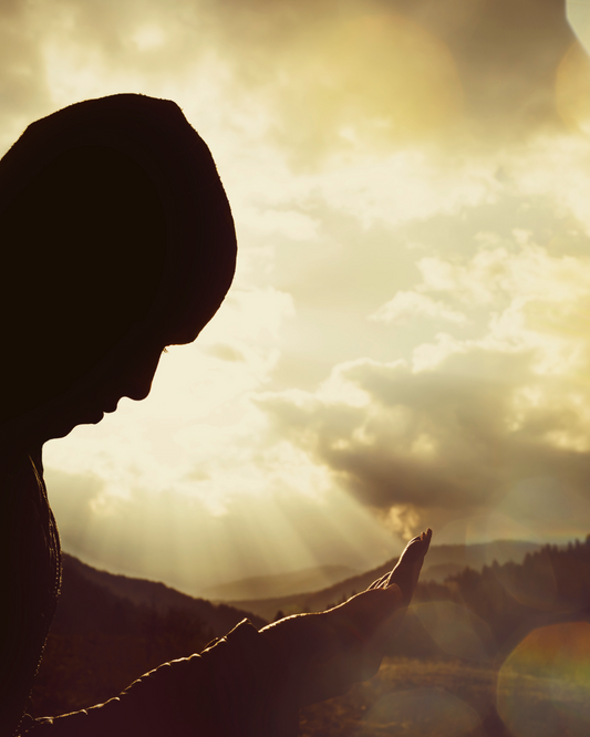 Programme Renaissance - 90 jours