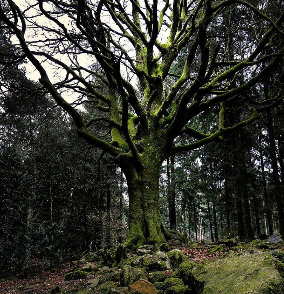 RETRAITE MYSTIK | BRETAGNE, FRANCE 2025